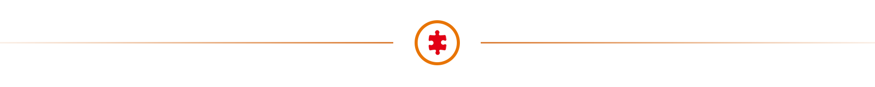 puzzle icon